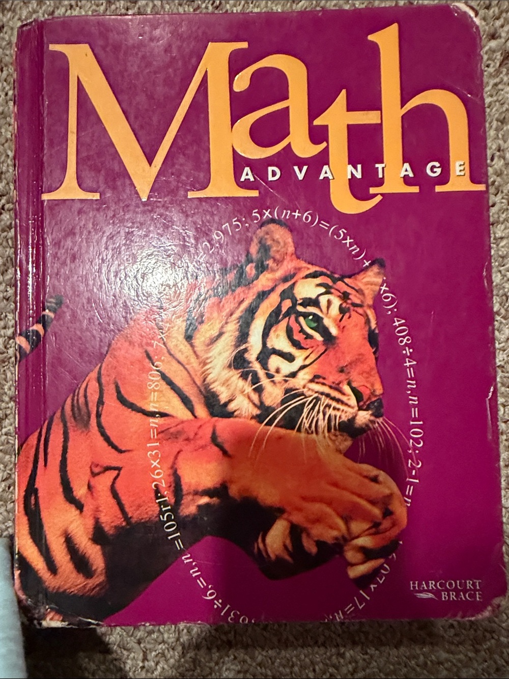 Math Advantage Textbook with Tiger Cover - Purple and Orange Grade 5